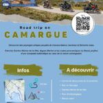 5_Camargue